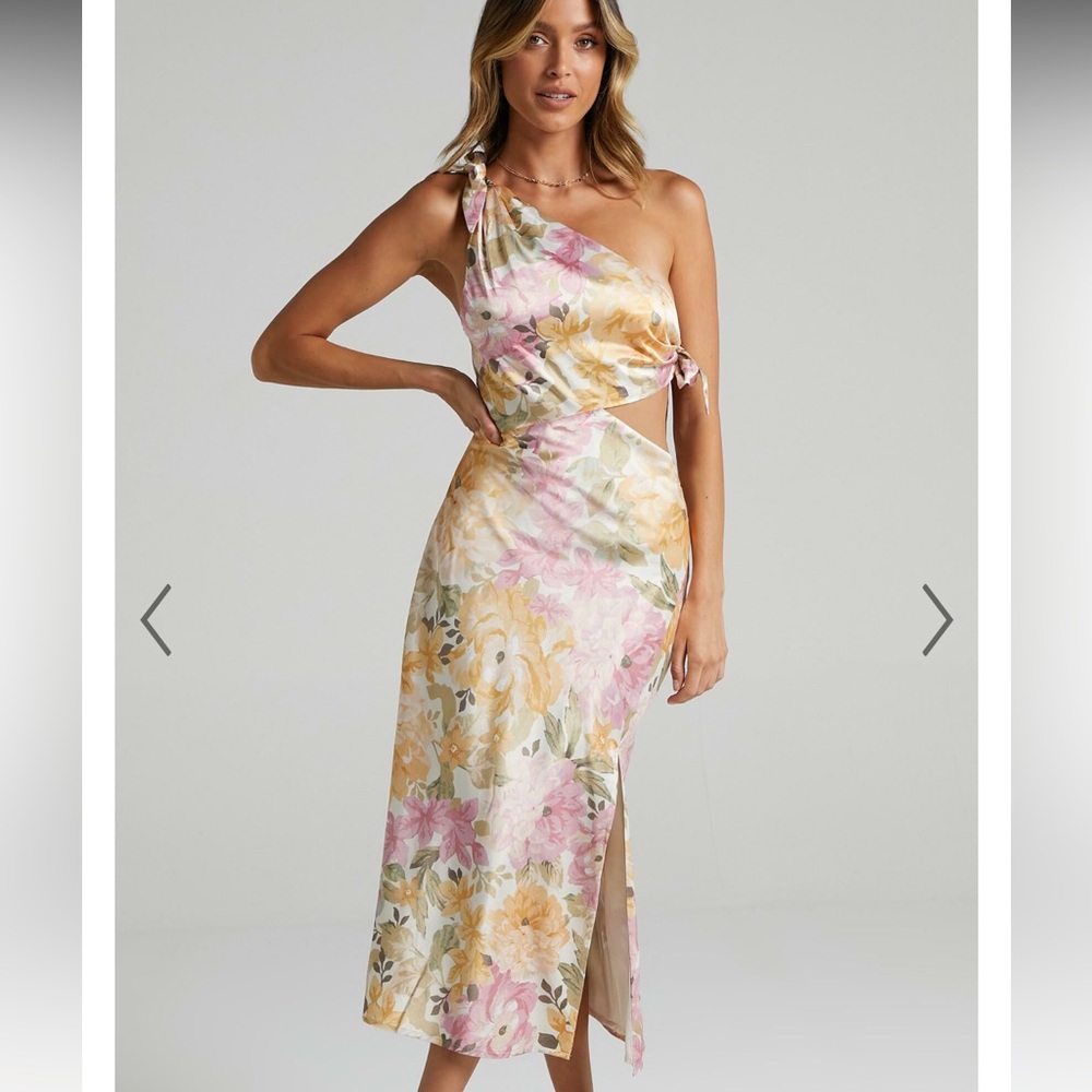 Showpo glaucus dress